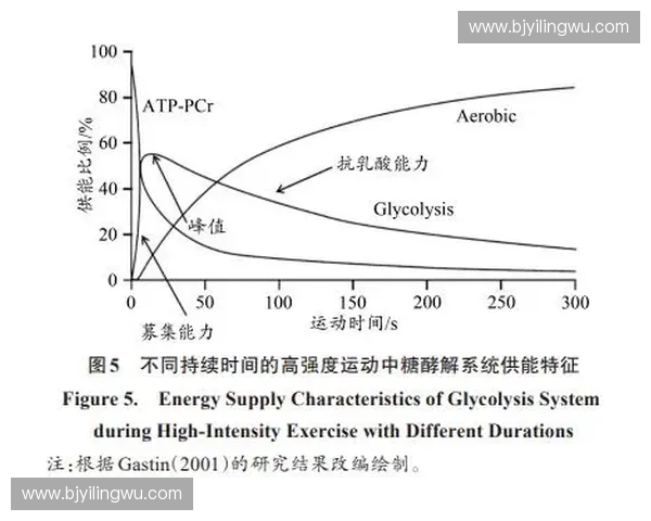 基于运动科学的身体机能提升与运动表现优化综合研究