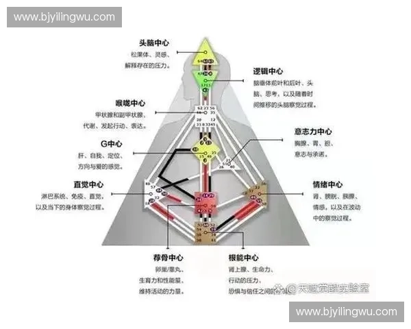 临场判断能力提升策略及其在复杂环境中的应用分析